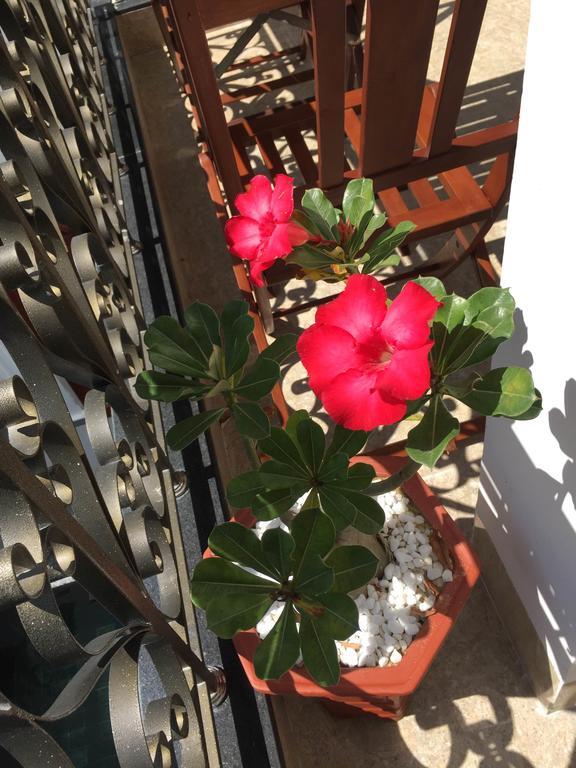 Iris De Villa Hoi An Cameră foto