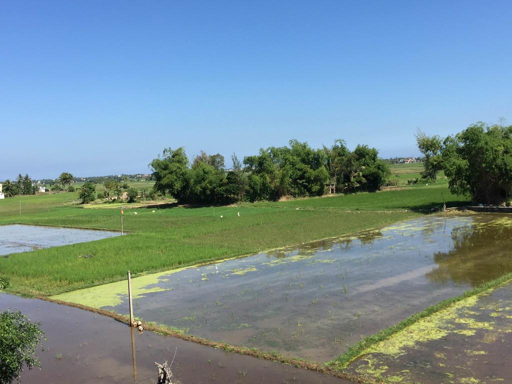 Iris De Villa Hoi An Cameră foto